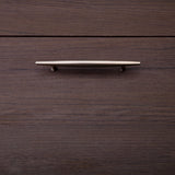 SW209 DOOR HANDLE
